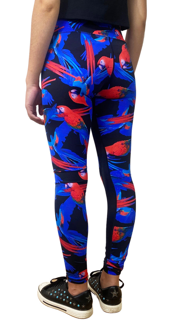 Leggings Guacamaya