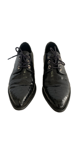 Oxfords Reptil