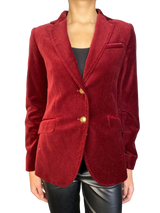 Blazer Velvet