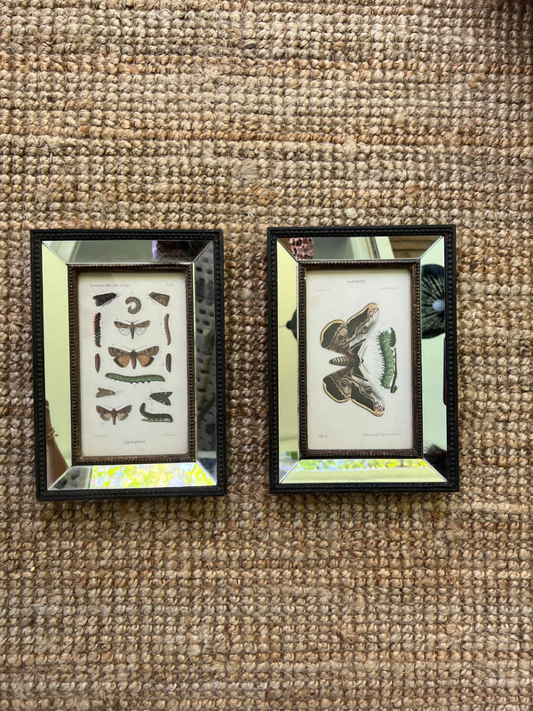 Set Cuadros Espejo Mariposas