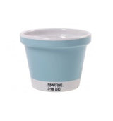 Vaso Pantone 14-4809