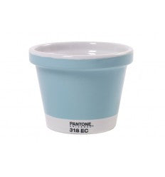 Vaso Pantone 14-4809